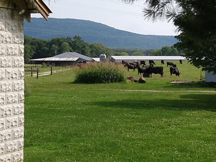 The Milk Barn Cottage