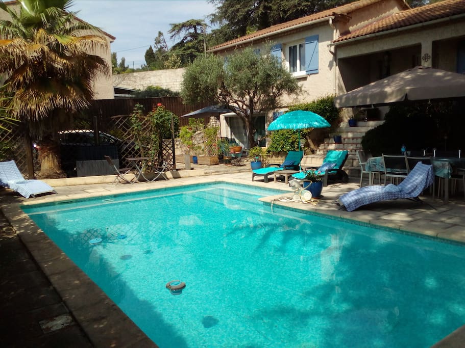 La piscine, farniente sous les cèdres !
