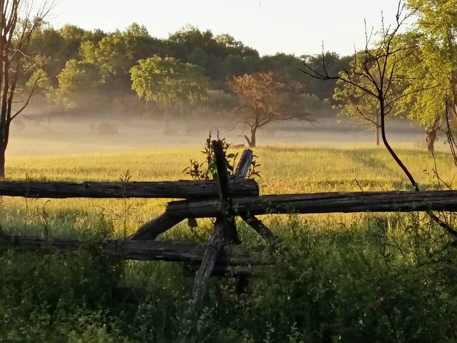 Hay Fields at Dawn