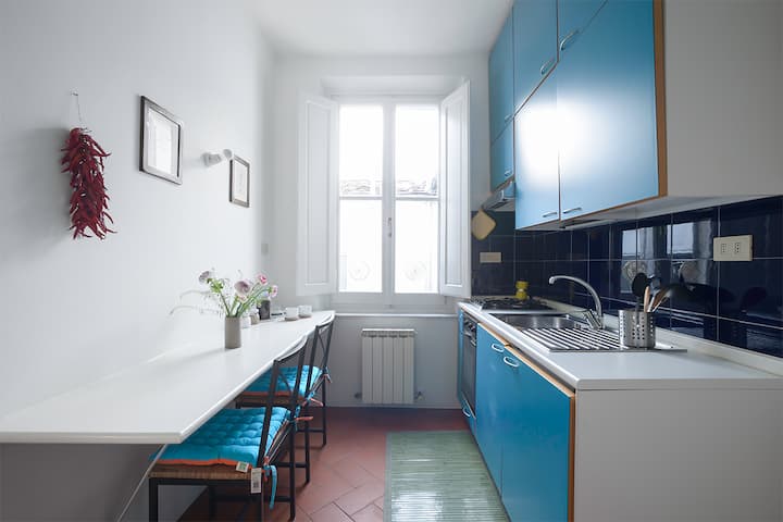 Apartment With Terrace On The Roofs - Florencia