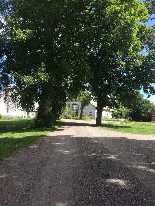 The beautiful alley