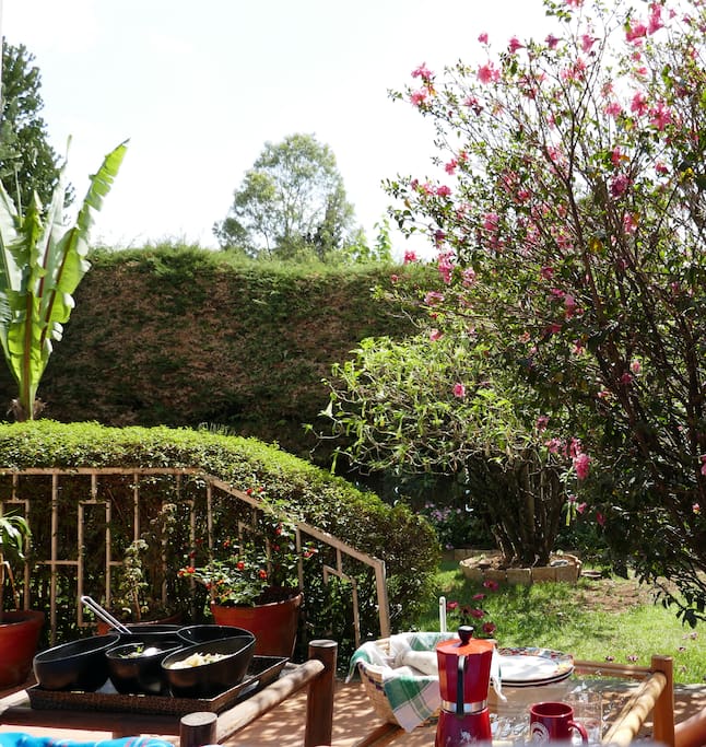 Lunch on the Veranda