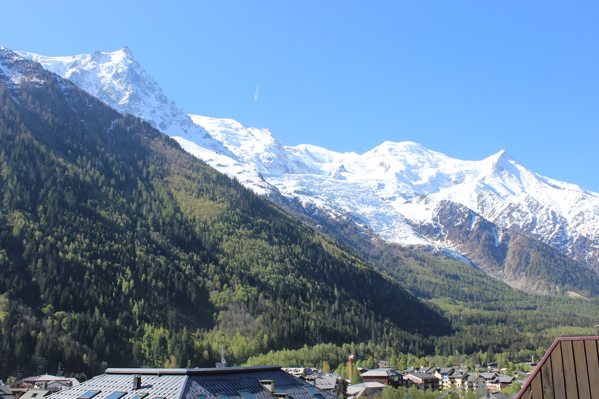 The image captures a breathtaking view of snow-capped mountains rising majestically against a clear blue sky. Lush green forests and small villages dot the valley, creating a harmonious blend of nature and human habitation.