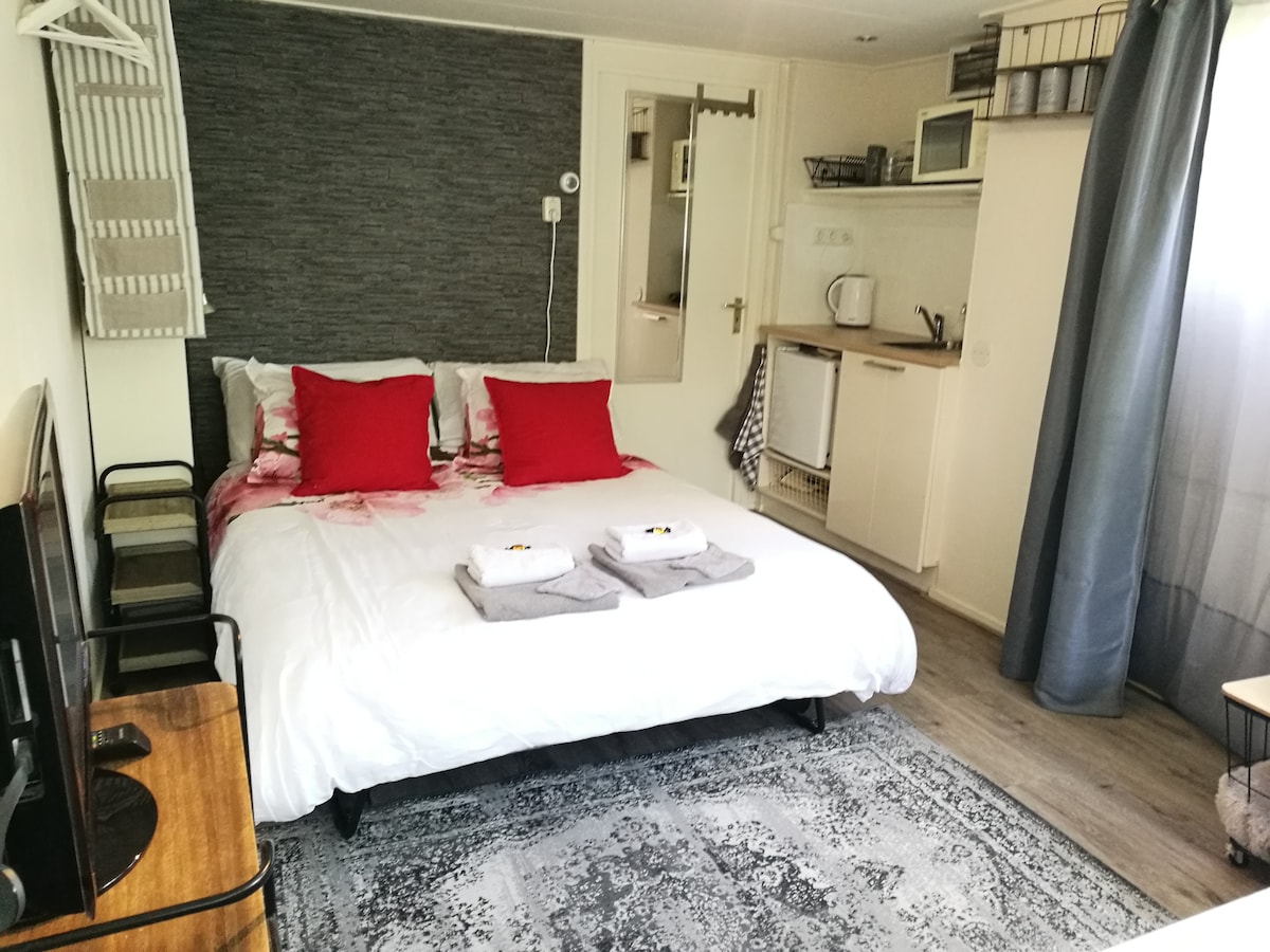 Televízia Chrome Cast, kuchynský kút, dvere do zadnej záhrady