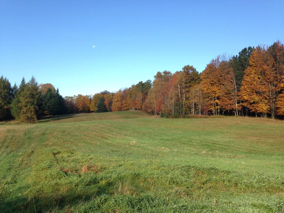 Field in October