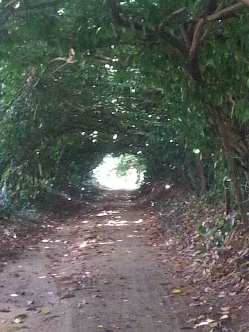 Entrance to the Farm Villa