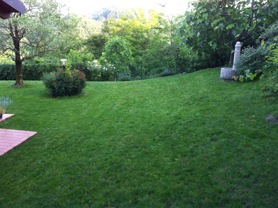 Giardino
