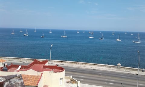 Oceanfront Apartment 3