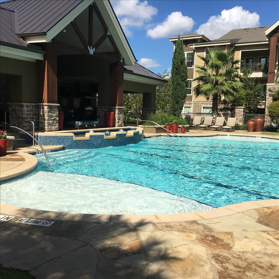 A resort-style swimming pool is surrounded by a stone deck, with a shallow entry area. Plush lounge chairs are arranged nearby. A cabana featuring natural wood beams creates a shaded spot, while the building and palm trees provide a lush backdrop.