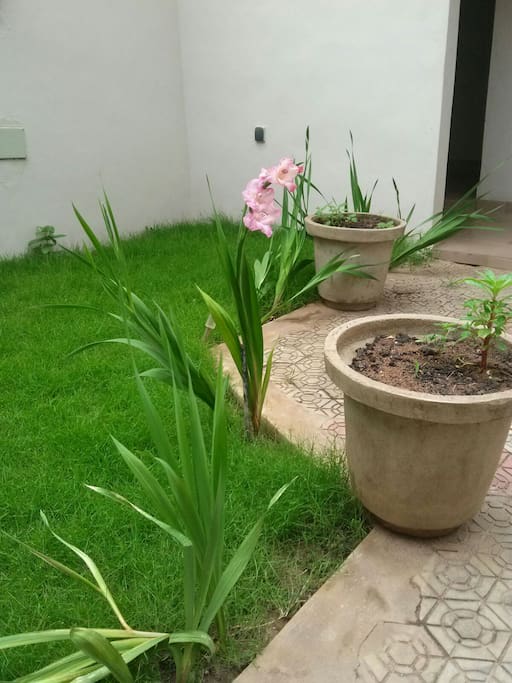 jardin