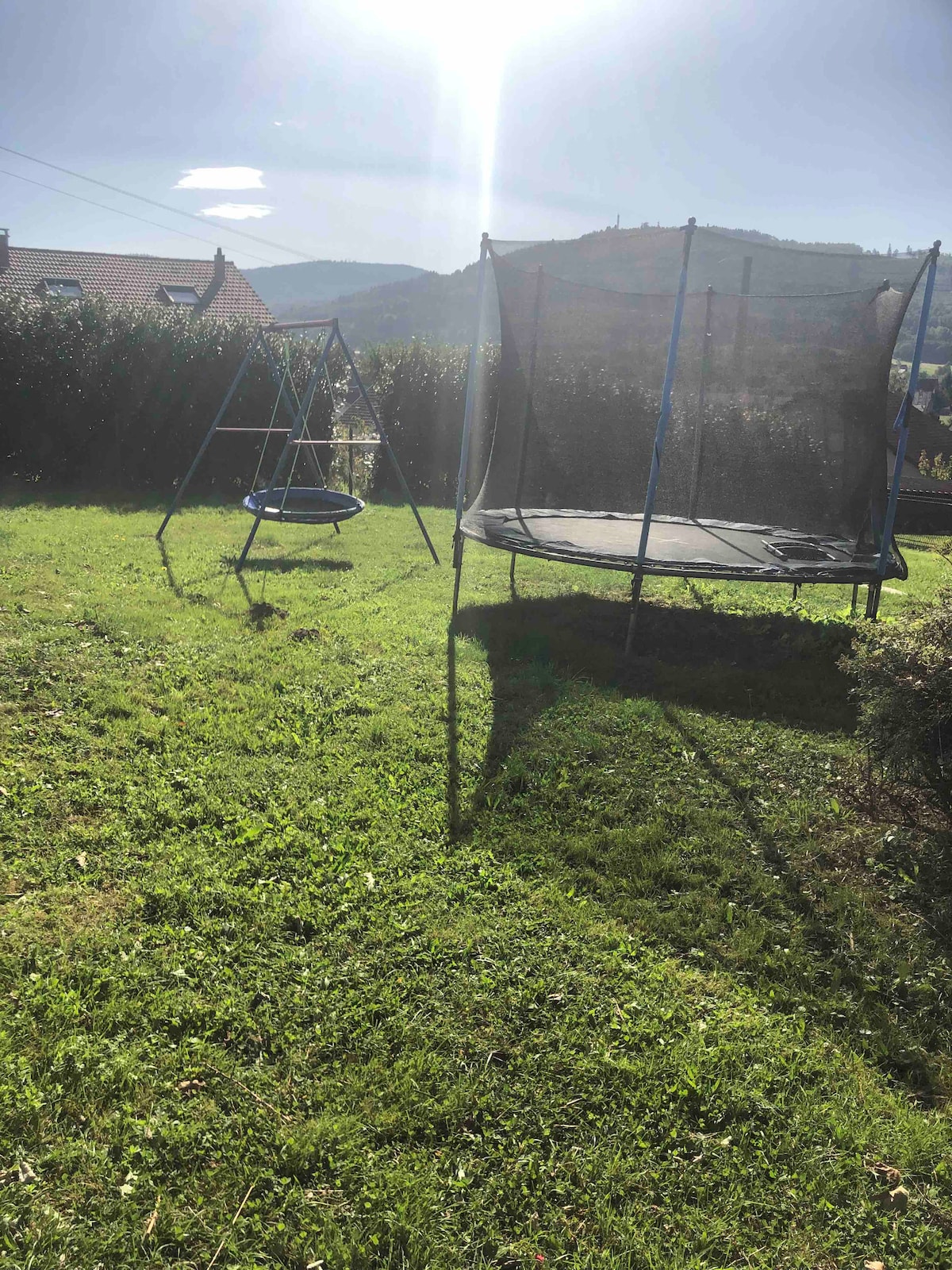 A grassy outdoor area is shown featuring a swing set and a trampoline. The swing is supported by a sturdy frame, while the trampoline is enclosed by safety netting. Sunlight shines brightly, illuminating the relaxed ambiance of the countryside setting.