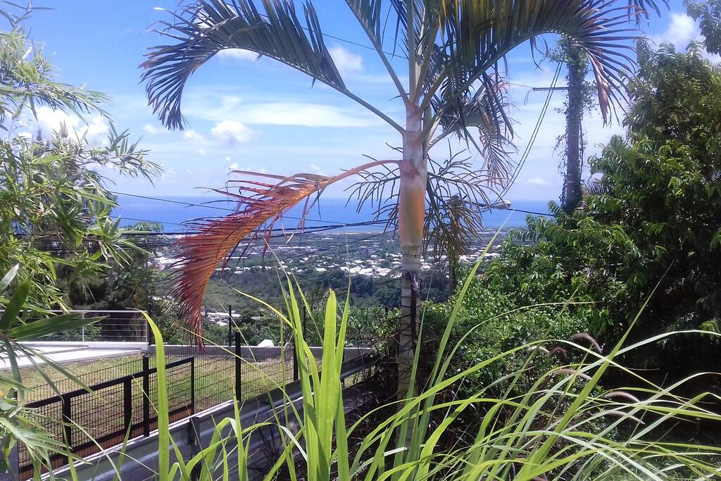 la vue de la terrasse du studio