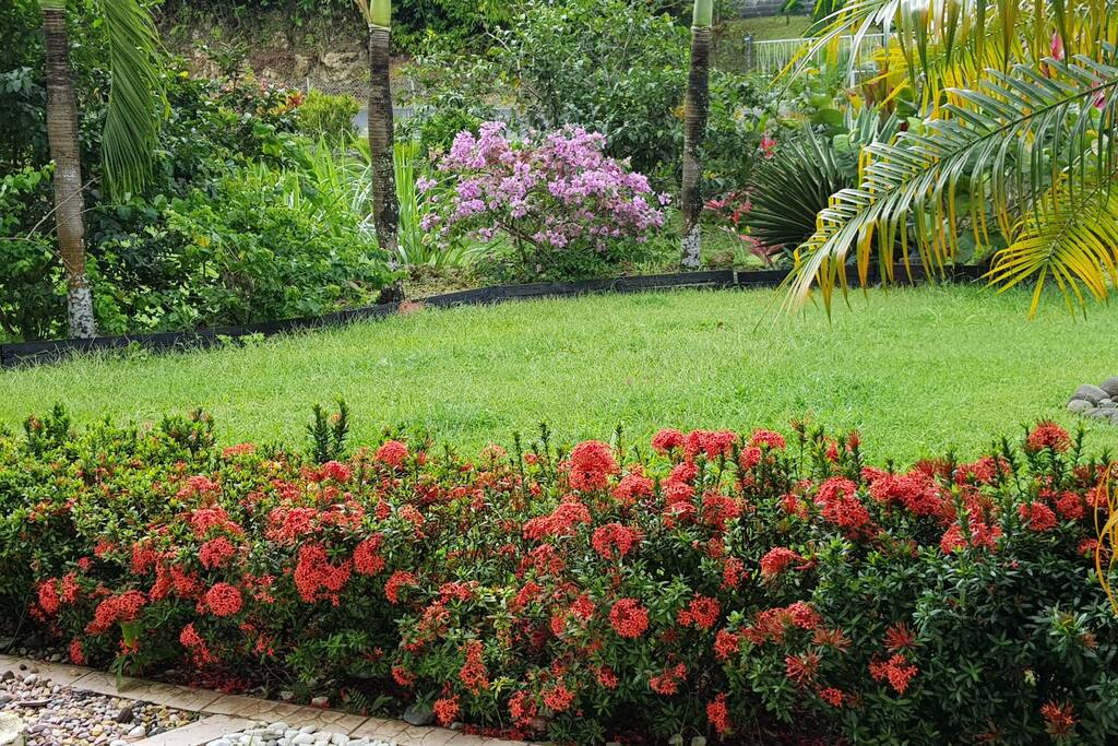 Jardin