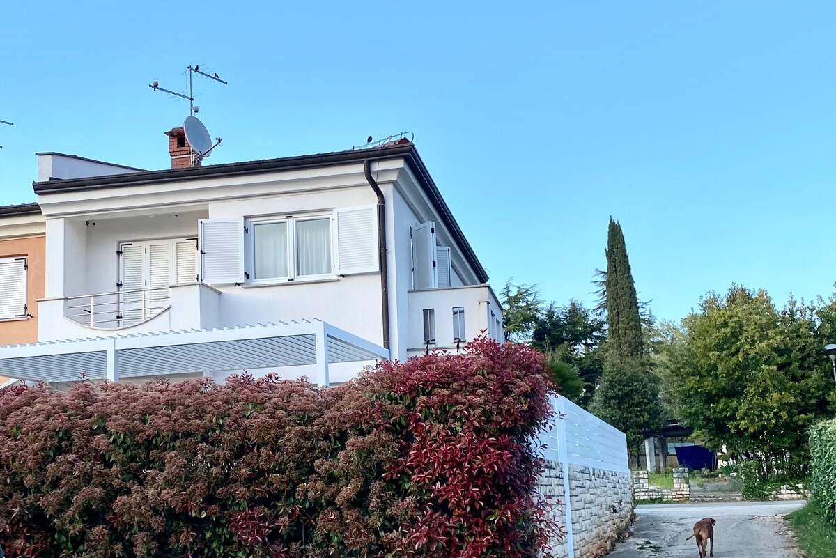 The well-maintained exterior of a two-story house is depicted, featuring a light-colored facade and white shutters. A gravel path leads to the entrance, bordered by vibrant foliage. Lush greenery and tall trees are visible in the background, providing a serene residential setting.