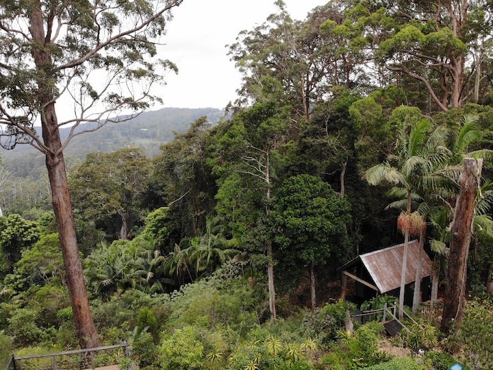 Private Eco Rainforest Cabin