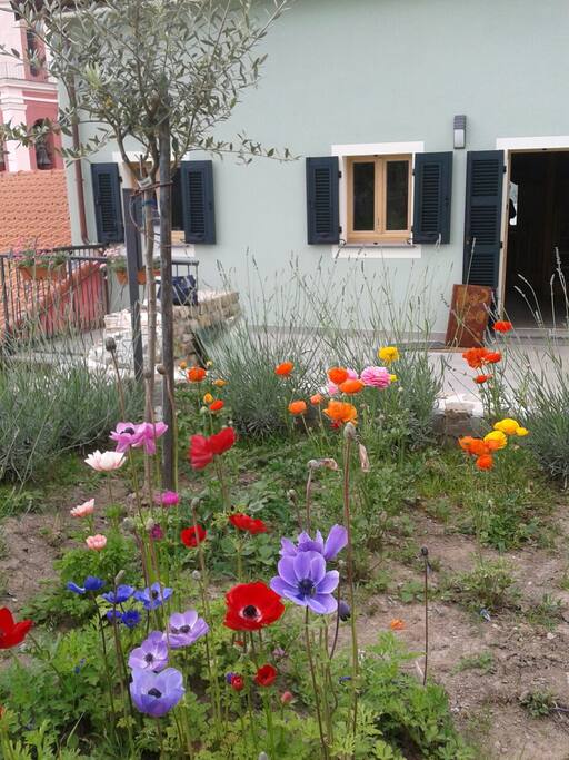 Giardino