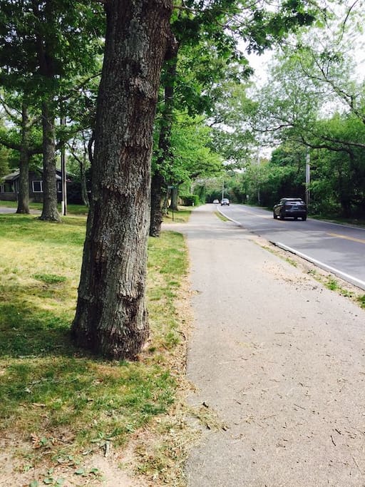 This is the bike path. Right on the front lawn.