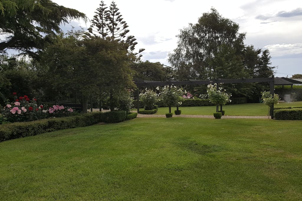 This is the garden. Weddings happen here.