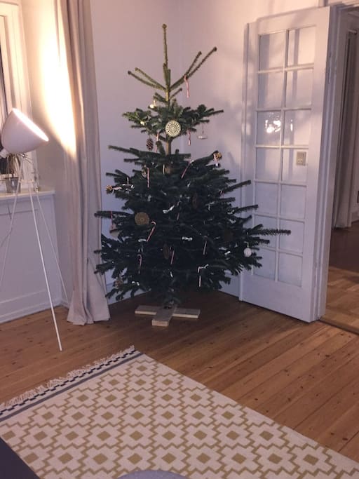 Our wonderful christmas tree