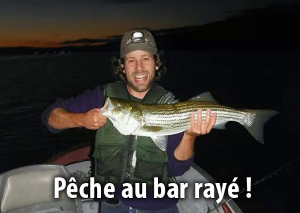 Avec moi sur la plage ou avec mon ami benoit en bateau.