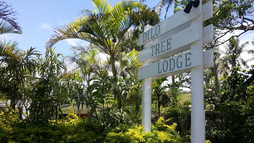 Dilo Tree Lodge