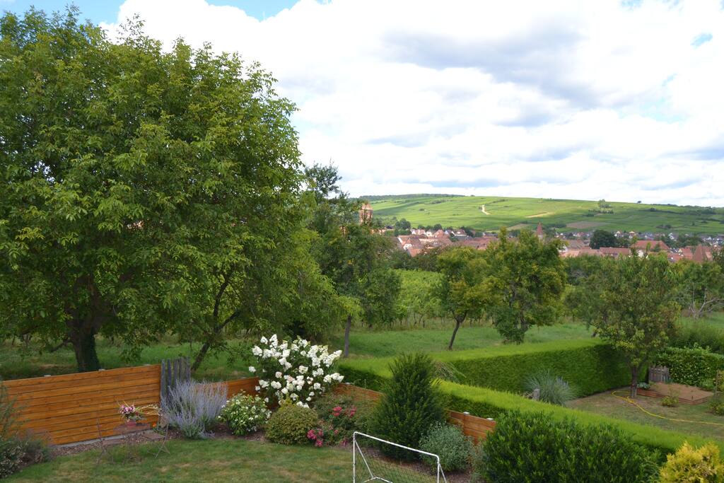 Vue chambre étage sur vignoble / village