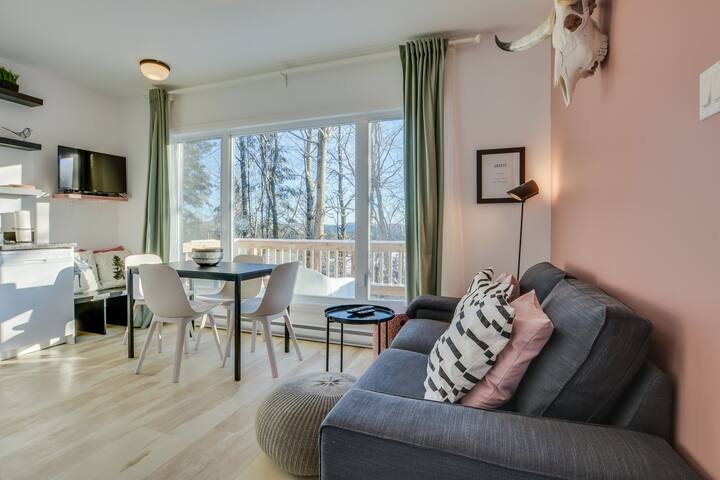 LE2171 mini chalet 1 chbre avec acc s au lac Micro LE2171 mini chalet 1 chbre avec acc s au lac Micro