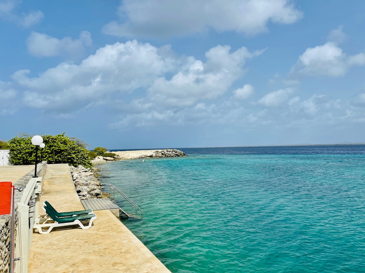 A serene seaside view captures gentle waves lapping against a rocky shoreline. Sun loungers are positioned along the deck, with a staircase leading directly into the clear turquoise water, inviting relaxation and exploration.