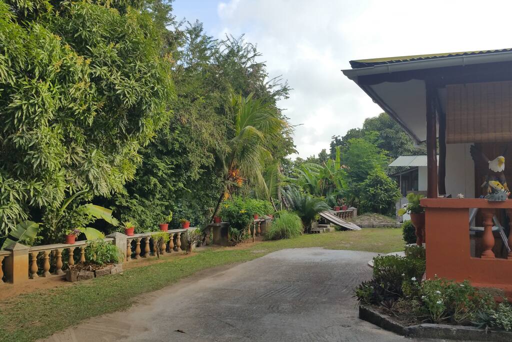 garden