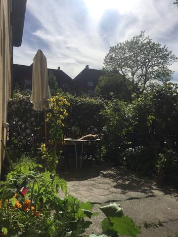 Ikke længere ledig til udlejning gallery image 2