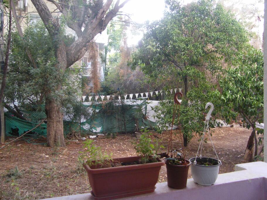 porch and view of garden