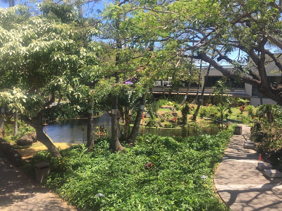 Gardens nearby Honolulu airport - 5 miles away