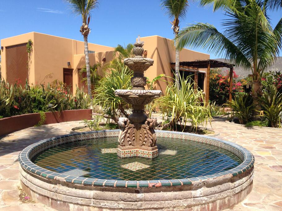 Front yard courtyard looking towards guest house