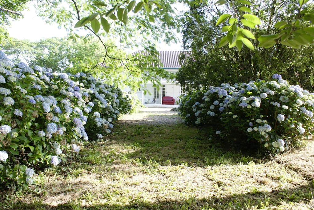 Jardin