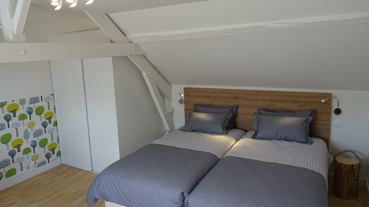 grande chambre avec deux lits grands confort 100x200cm