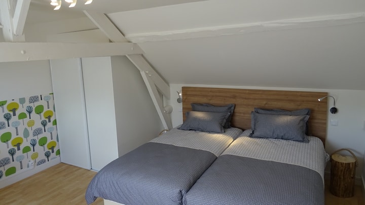 grande chambre avec deux lits grands confort 100x200cm