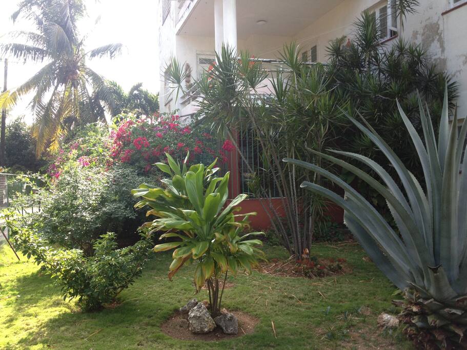 Jardin