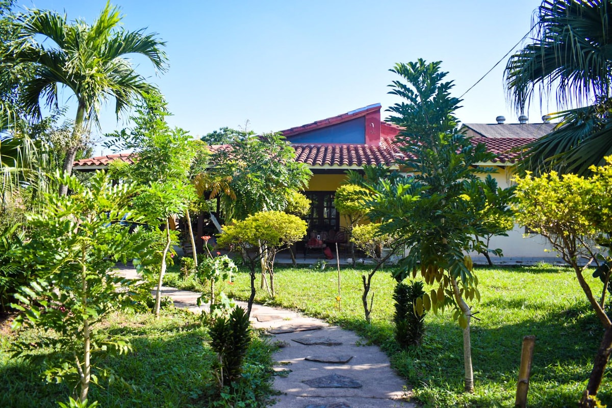 Lush greenery surrounds a charming pathway leading to a single-story house with a red-tiled roof. Various tropical plants and trees create a serene atmosphere, while clear blue skies overhead enhance the inviting outdoor environment.