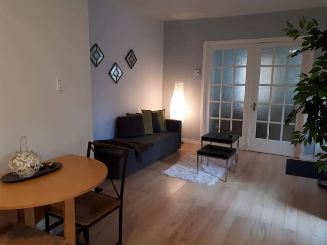 Spacious one bedroom apartment with parking