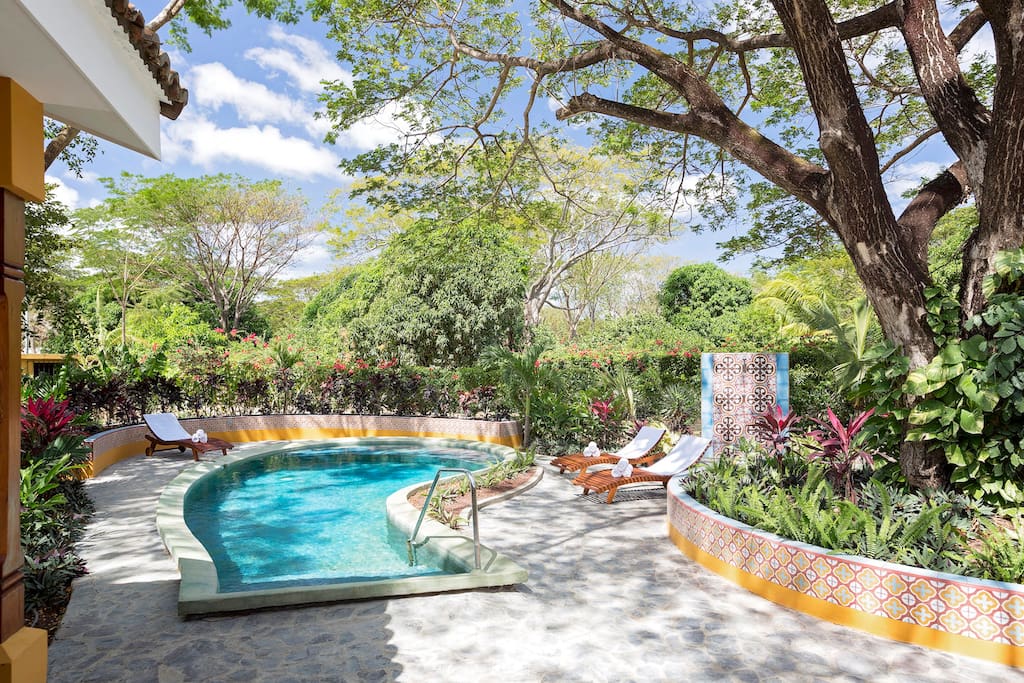 Brand new pool with chase loungers, shared BBQ/grill and outdoor shower for after surf