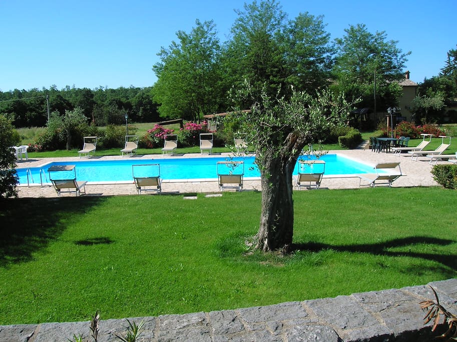 Piscina