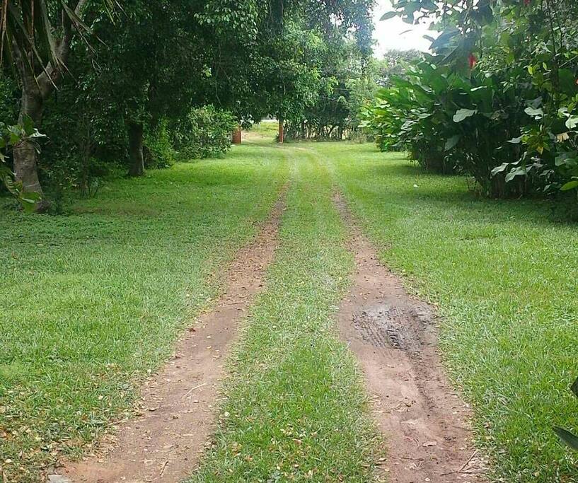This is the entrance to the estate.