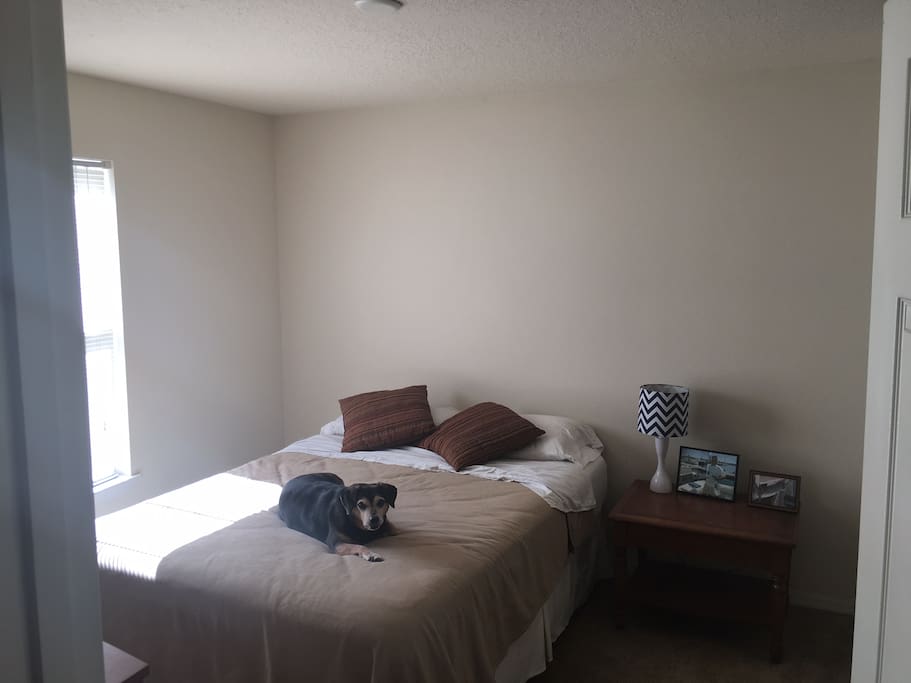 Guest Bedroom