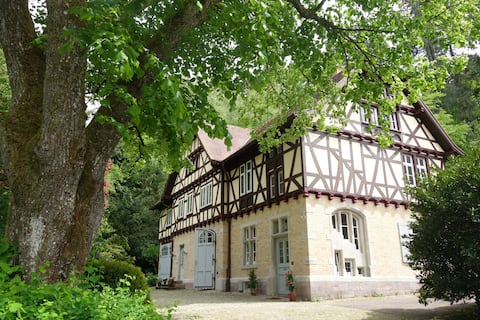 Popular Airbnb listing: Apartment in Grünes Gold on Leisberg in Baden Baden