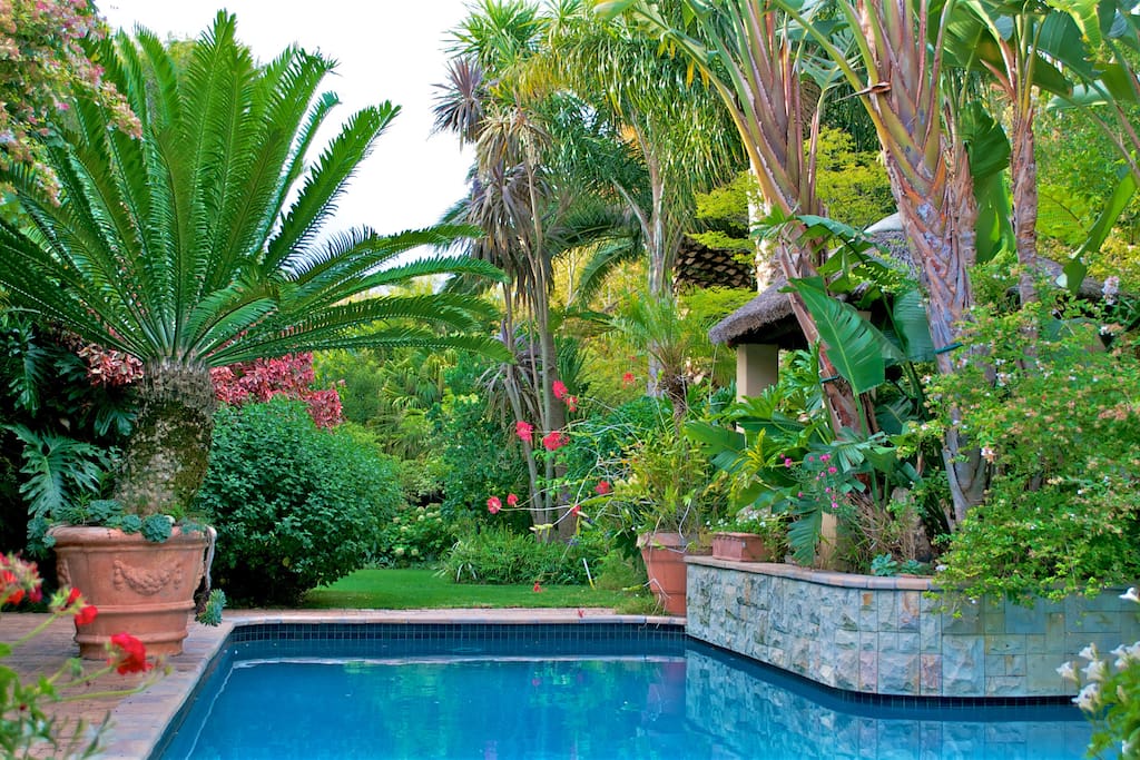 Beautiful Garden with heated pool and deck