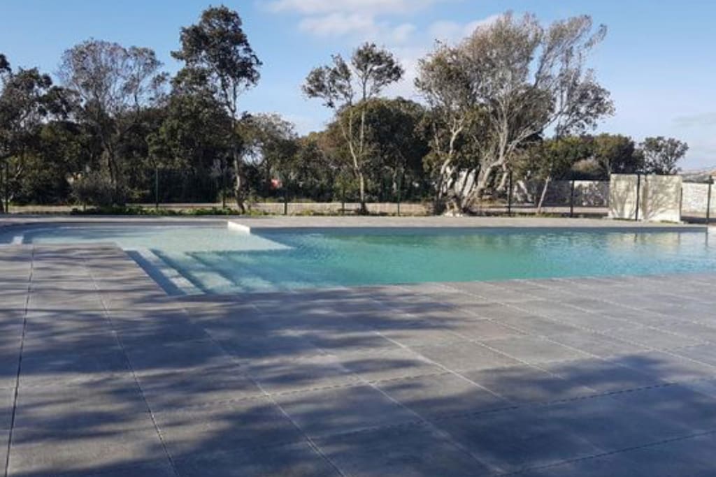 Piscine 16x8 avec pataugeoire pour enfant