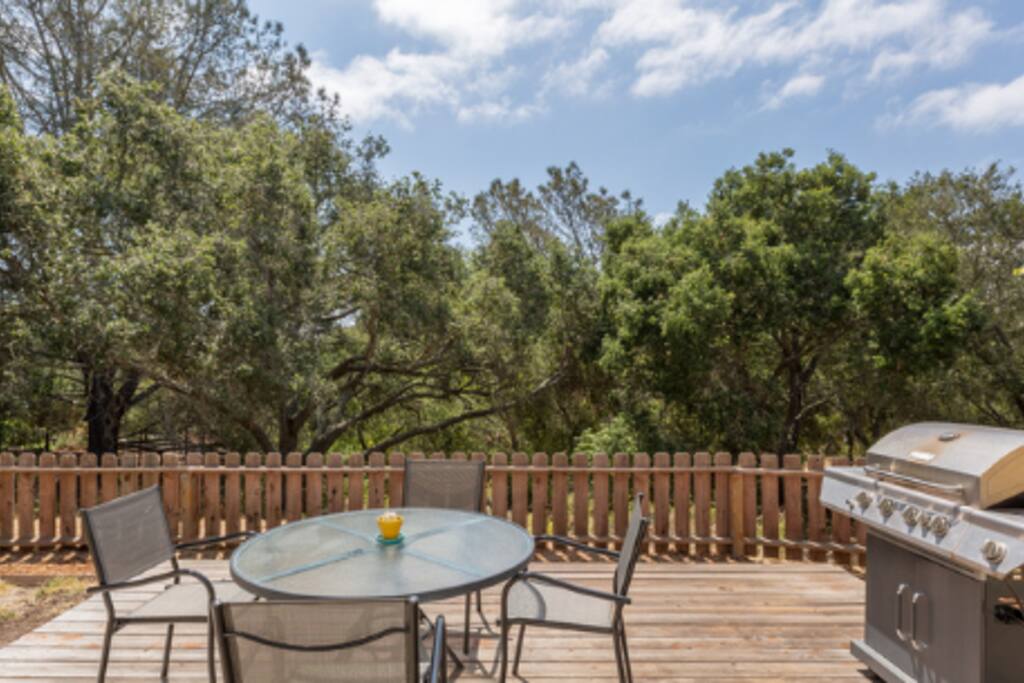 Views of the oaks. BBQ, hammock, fenced yard.