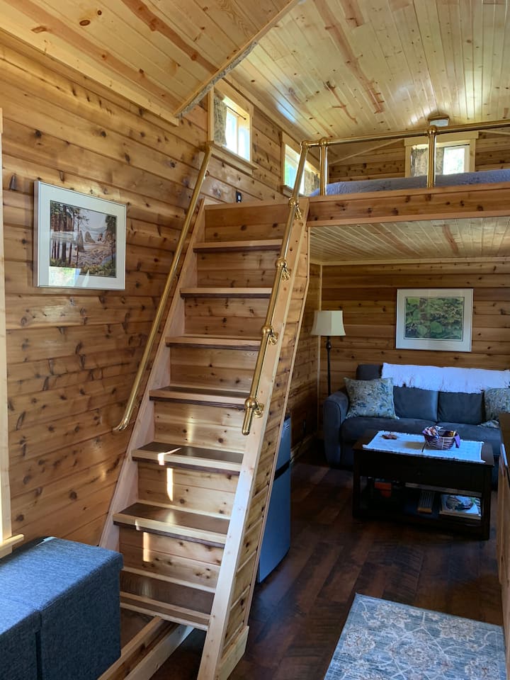 12 Best Airbnb Vacation Rentals In Forks, Washington Updated 2024