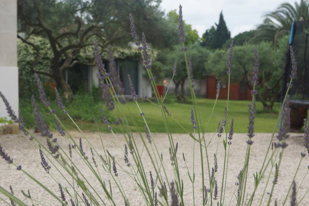 écrin de verdure
