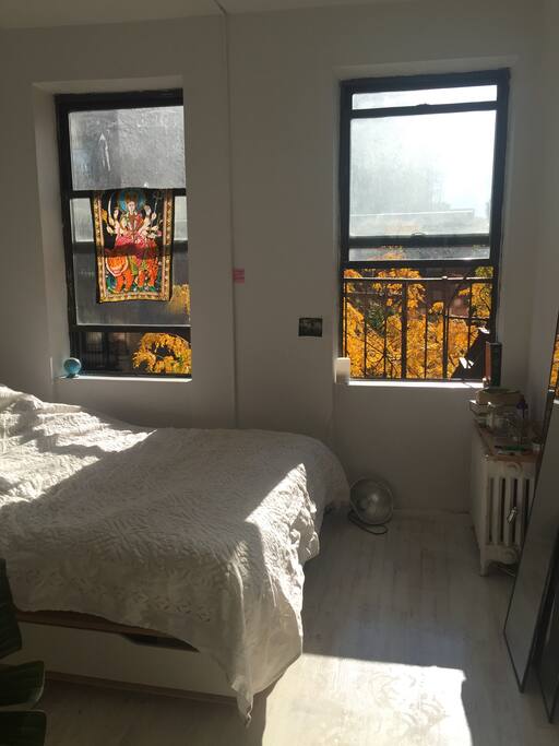 The room